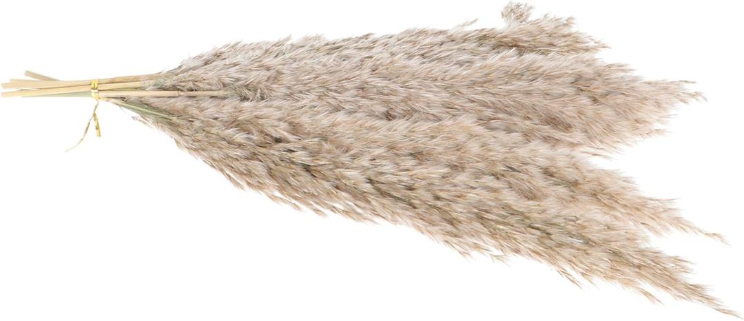 STOBAZA 3sets Dried Flower Arrangement Preserved Floral Decor for Home Wedding and Rustic Table Centerpieces Natural Touch Eucalyptus and Flowers Box