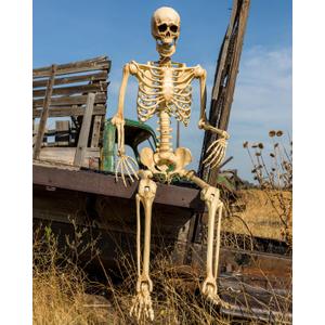 5.4-ft 165cm 1Pack Life Size Skeleton, Large Full Size Skeleton Halloween Decorations Realistic Plastic Posable Skeleton Decor for Outdoor Yard 5ft to 6ft Big Skeleton Poseable Standing Sitting