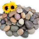 NUPICK 6lb Mexican Beach Pebbles, 2-3" Large River Rocks for Landscaping, Smooth Garden Rocks for Outdoor Paving, Natural Pebbles for Indoor Plants, Decorative Stones for Planters, Fish Tank, Fountain (Mixed)