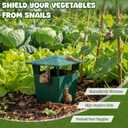 10 Pack Slug Snail Traps for Garden, Reusable Beer Bait Snail Catchers with Pentagonal Lid, Plastic Slug Houses for Outdoor Garden, Vegetable Beds, Farm(Green)