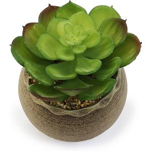 allgala Small Desktop Artificial Succulent Plant Indoor and Outdoor Indoor Fake Plants with Natural Clay Pot