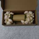 Floroom Ranunculus Artificial Flowers 18 Pcs Champagne Faux Silk Mini Ranunculus Bulk Fake Wedding Filler Flowers for DIY Cream Bouquets, Centerpieces, Bridal Shower Decorations & Arrangements