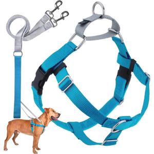2 Hounds Design Freedom No Pull Dog Harness, Adjustable Harness and Leash Set, Easy Walking & Comfortable Control, Fits Small, Medium & Large Dogs, Solid Colors, Made in USA, 5/8" XS, Turquoise