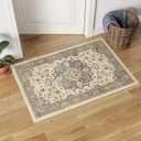 Dripex Vintage Collection Washable Area Rug - 2x3 Door Mat Small Entryway Rug Distressed Non-Slip Low-Pile Floor Carpet for Indoor Front Entrance Kitchen Bathroom Living Room Bedroom