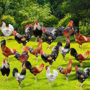 18 Pcs Chicken Yard Art Rooster Yard Signs Set with 36 Stakes 9 Styles Chicken Yard Stakes Cock Lawn Signs for Christmas Decoration Indoor Outdoor Home Garden Patio Xmas Party Supplies