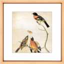 10x10 Picture Frame, Gold Metal Square Photo Frames with HD Glass, Fits 6x6 with Mat or 10 x 10 without Mat, Display for Wall and Table, 1 Pack