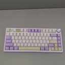 EPOMAKER x Aula F75 Gasket Mechanical Keyboard, 75% Wireless Hot Swappable Gaming Keyboard with Five-Layer Padding&Knob, Bluetooth/2.4GHz/USB-C, RGB (Purple, LEOBOG Reaper Switch)