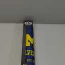 YouTheFan NCAA Michigan Wolverines Logo Series Desk Pad