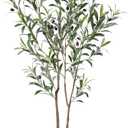 LOMANTO Artificial Olive Trees, 5 ft Tall Fake Olive Trees for Indoor, Faux Olive Silk Tree, Large Olive Plants with White Planter for Home Decor and Housewarming Gift, 1 Pack