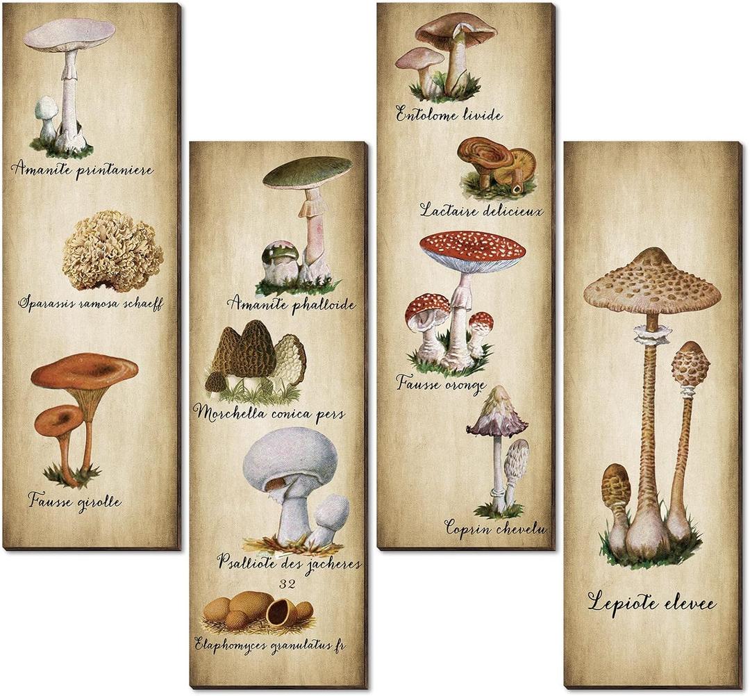 Yookeer 4 Pcs Vintage Mushroom Wall Decor Mushrooms Art Wooden Sign Rustic Mushroom Kitchen Decor Fungus Aesthetic Poster for Bedroom Dining Room Living Room Office(15.7 x 5.2 Inch)