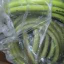 Flexzilla Garden Hose 5/8 in. x 100 ft., Lightweight All-Weather Water Hose, Durable and Flexible, Leak-Free Connections
