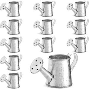 12-Pack Mini Galvanized Watering Can, Decorative Mini Watering Can for Crafts, Party Favors, Housewarmings, Garden-Theme Parties, and Home Decor (Silver, 3x1.6 in)