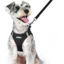 rabbitgoo Dog Harness Small Sized and Leash Set, Step in Soft Light Puppy Vest, Breathable Mesh Pet Harness, Reflective for Outdoor Safe Walking, Black XL