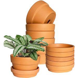 5.1 Inch Shallow Terracotta Plant Pots - 6 Pack Medium Clay Flowerpot with Drainage Hole, Terra Cotta Succulent Pot for Indoor Outdoor Plants
