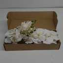 White Orchid Artificial Flowers,6PCS Artificial Phalaenopsis Flowers 38" Fake Orchid Stems for Wedding Party Office Home Dcor(White)