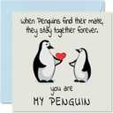 11 x Romantic Anniversary Card - "You Are My Penguin" - Cute Greeting Card for Wife/Husband, Boyfriend/Girlfriend, Partner, or Fiance - For Valentine's Day, Wedding or Birthday - 5.7" x 5.7" w/ Envelope