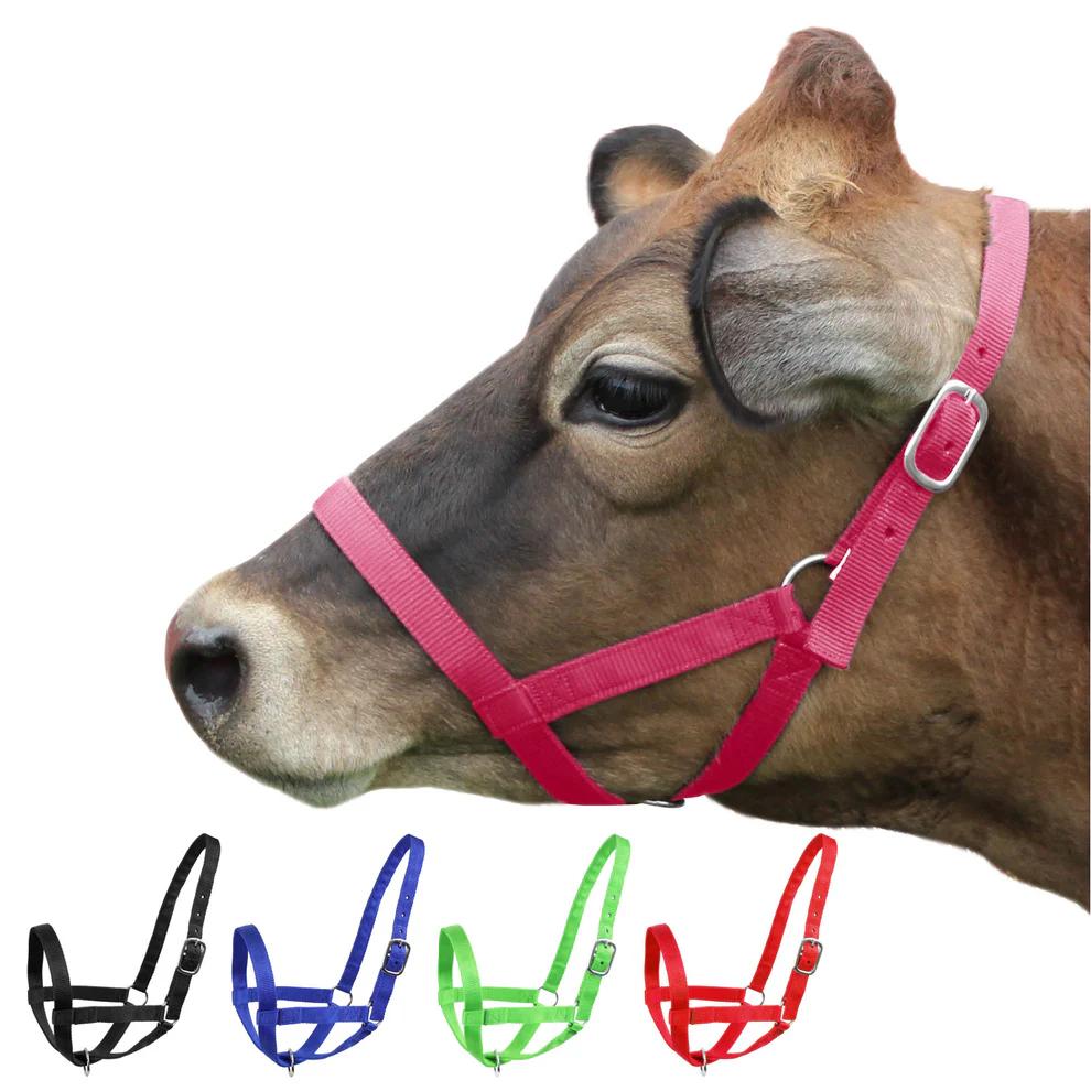 HADZAM Adjustable Nylon Cow Halter one Halter for (1 Year to Full Size) Easy Adjustable Straps elimates The Need of Ill-Fitting Calf Halter (Pink)