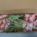 IPOPU Pink Artificial Delphinium Flowers 33.5" Long Stem Artificial Flowers Vintage Pink Fake Flowers for Wedding Centerpieces for Home Tables Party DecorVintage Pink