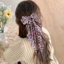 2Pcs Leopard Print Hair Bow Clips, Long Tail Ribbon Satin Leopard Big Metal Hair Bow Barrettes Ponytail Styling Accessories for Women Girls, Red Cheetah Print