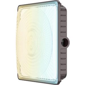 Glitgate 100W LED Canopy Light, 100W/80W/60W Adjustable, 3000K/4000K/5000K 3CCT Selectable Canopy Lights, 110/120V IP65 Outdoor Waterproof Commercial Ceiling Light for Parking Lot, Garage, Gas Station
