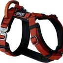 MADE TO ROAM Premium Explorer Harness - Y-Shaped Dog Harness with Adjustable Durable Nylon, Soft Padding, Metal Buckles and Leather Handle for Small, Medium, Large Dogs (Texas Flair, Size 3)