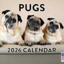 Pug Calendar 2026 Wall Monthly Pugs Gifts For Pug Lovers Women Men Mom Dad | American Made In The USA