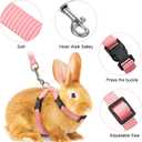 Outus 5 Pieces Adjustable Rabbit Harness and Leash Set Escape Proof Bunny Harness Vest for Pet Running Walk Jogging Bunny Cat Puppy Kitten Ferret and Other Small Pet(Fresh Color)