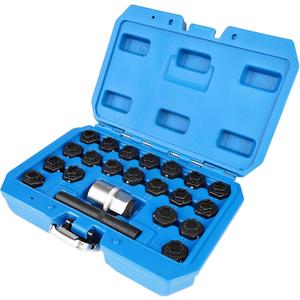 22PCS Wheel Locking Key Removal Tool Kit, Wheel Anti-Theft Lock Lug Nut Screw Remover Set with 1/2 Inch Driver Scoket Adaptor and Punch Compatible with BMW F 1 3 4 5 6 7 Series Not All