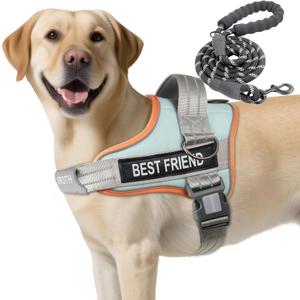 AUROTH Dog Harness and Leash Set, Soft Padded Service Dog Vest with 5.25FT Dog Leash, No Choke, Easy On Pet Vest, Adjustable Reflective No Pull Dog Harness for Large Dogs, Easy Walking and Training L