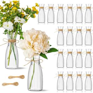 20 Pcs Plastic Flower Bud Vases Bulk with Twines Ropes Small Mini Flower Vases for Centerpieces Decorative Plastic Bottles for Wedding Reception Dining Table Home Decoration (Transparent)