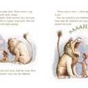 Library Lion: (A Heartwarming Picture Book About Friendship, Kindness & Library Rules for Kids Ages 4-8)