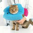 PUMYPOREITY Soft Fish Shaped Cat Cone Collar, Adjustable Padded Elizabethan Collar for Kittens, Anti-Lick Protective Neck Cone for Post-Surgery Wound Recovery, L, Blue