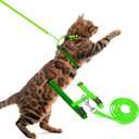 PUPTECK Adjustable Cat Harness and Leash Set Escape Proof Kitten Strap Collar for Walking Travel, Green (Small)