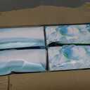 Puffs Plus Lotion Facial Tissues, 8 Family Boxes, 124 Facial Tissues per Box, Allergies and Colds
