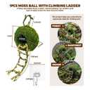 Moss Cave Hideout with Hanging Rope & Hemp Climbing Ladder Natural Reptile Tank Decor Accessories for Crested Geckos, Chameleons, Tree Frogs, Leopard Geckos & Snakes. Terrarium & Vivarium Decor (6")
