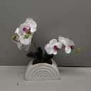 White Artificial Silk Phalaenopsis Orchid Fake Flowers Rainbow Pot Desk Decor