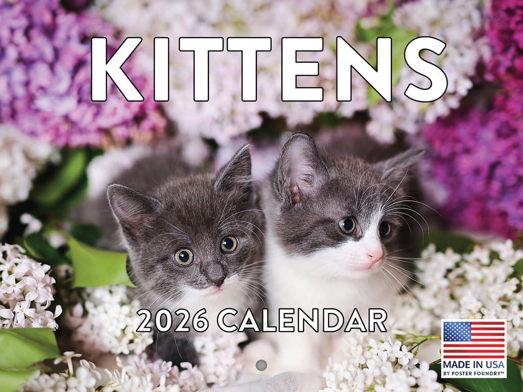 5 x Kitten Calendar 2026 Cat Kitty Gifts Monthly Wall Calender 12 Month | American Made In The USA
