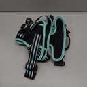 rabbitgoo Dog Harness No Pull with 2 Leash Clips, Adjustable Soft Padded, Reflective Oxford No Choke Pet Vest with Easy Control Handle for Medium Sized Dogs, Black & Turquoise, M