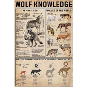 QWEQWEQ Wolf Knowledge Retro Metal Tin Sign Wolves Of The World Printed Poster Cafe Bar School Home Education Living Room Art Wall Decoration Plaque Gift