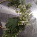 Spring Floral Half Wreath