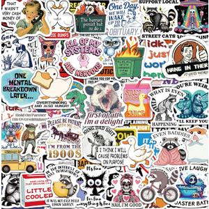 300 Pcs Funny Stickers for Adults, Water Bottle Vinyl Meme Laptop Waterproof Cute Sticker Pack, Scrapbook Planner Journal Stickers Supplies Gifts for Men Women Hard Hat Bumper