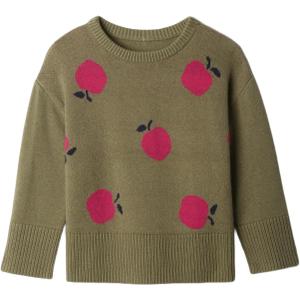 GAP Baby Girls' Intarsia Sweater (18-24 Months, Apple)