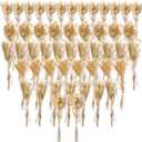 Boho Dried Flower Bouquet, Mini Flower Bouquet, Mini Dried Baby's Breath Flowers for Crafts DIY Wedding Shooting Prop Envelope Decoration(50 Pcs)