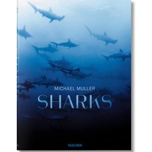 Michael Muller. Sharks 