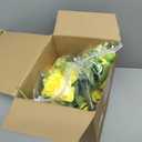 Geosar 8 Bundles Artificial Peonies Flowers Fake Silk Peony Bouquet Faux Peonies Flowers Bulk for Decoration Vase Floral Arrangements Wedding Party Table (Yellow,Champagne)
