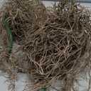 Giegxin Spanish Moss 41'' Fake Hanging Succulents Faux Moss Artificial Succulent Plants Vines Hanging Plants Swamp Decoration Potted Artificial Garland(Brown,12 Pack)