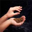 CRAVE Grain Free High Protein Adult Dry Dog Food, Beef, 4 lb. Bag (EXP 03/18/26)