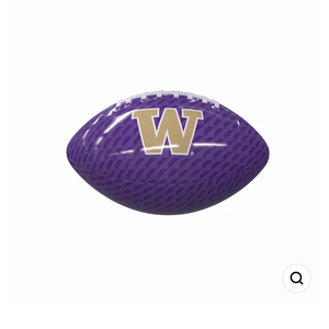 Washington Carbon Fiber Mini Glossy Football