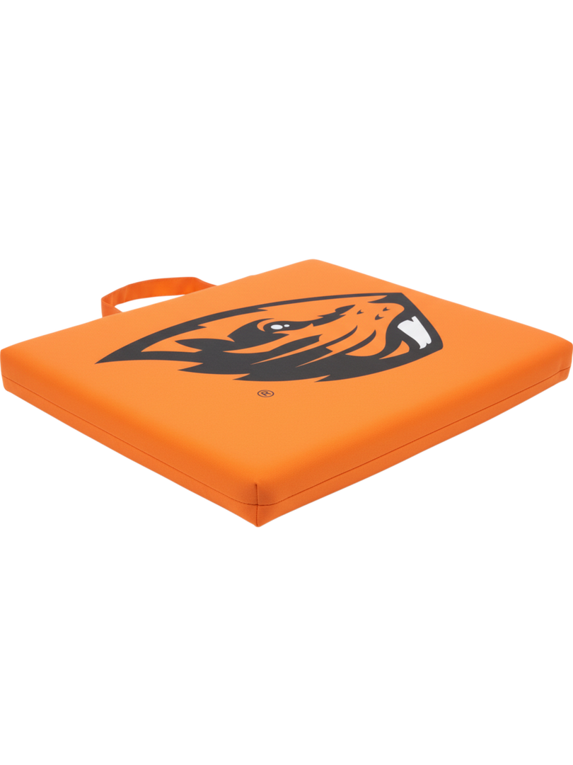 Logo Brands Officially Licensed NCAA Unisex Bleacher Cushion, One Size, Team Color (14" x 14" x 1")