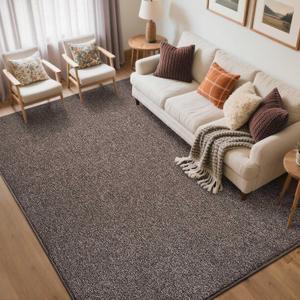 FinRec Low Pile 5x7 Washable Area Rugs for Bedroom Living Room, Thin Rug Solid Color, Non-Slip Carpet Indoor for Home Decor (Brown/White)